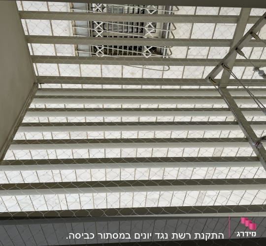 רשת מתוחה על תקרה למניעת כניסת יונים